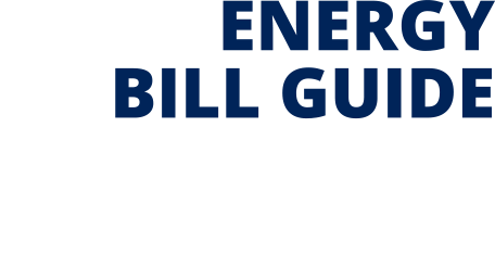 Energy Bill Guide
