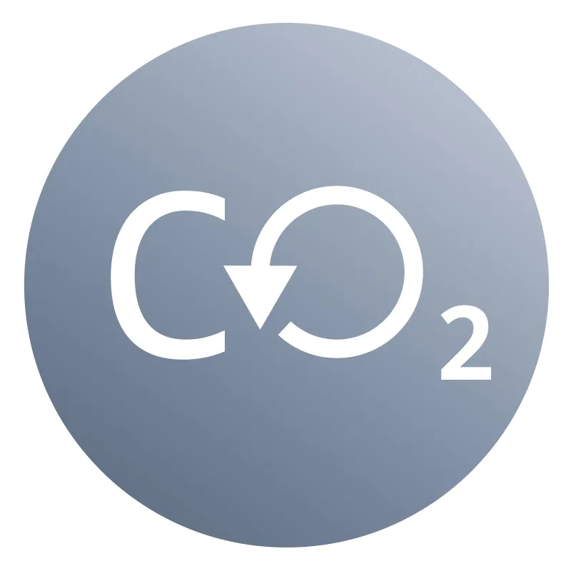 EAI Decarbonisation Logo